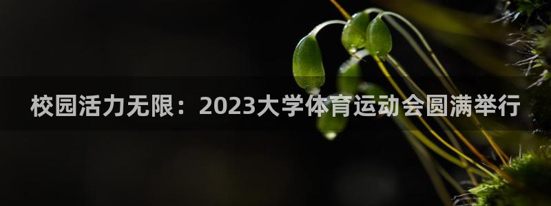 意昂4体育3在线注册