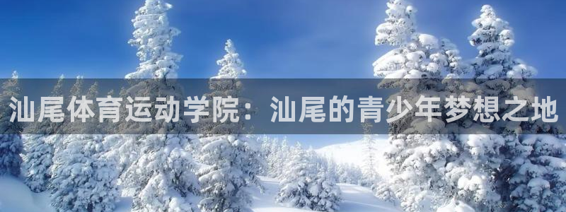 意昂4能源