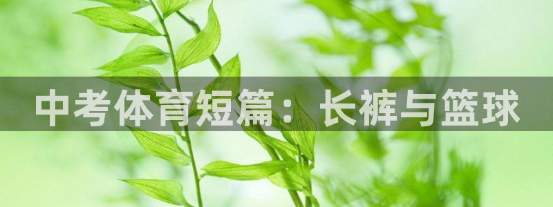 意昂4官网注册