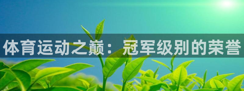 意昂4体育凯捷平台招商