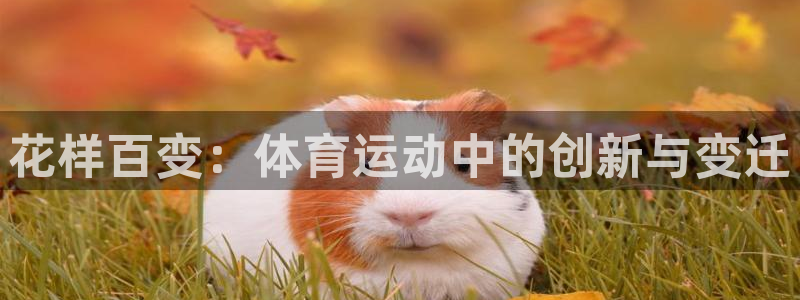 意昂45