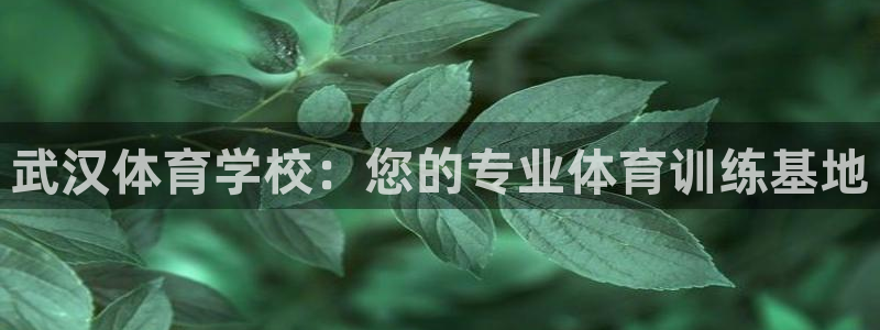 意昂4体育凯捷平台注册