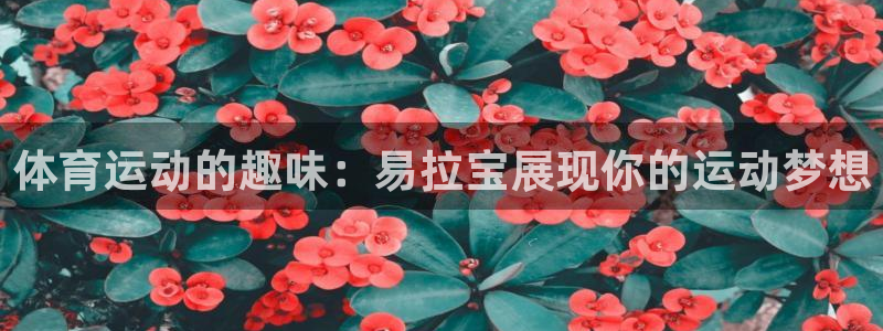意昂43官网