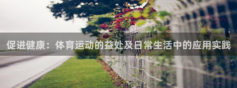 意昂4体育网页版入口