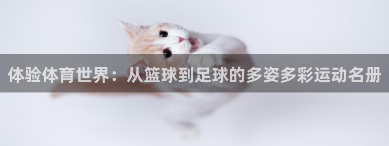 意昂43官网
