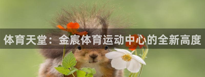 意昂4凯捷平台