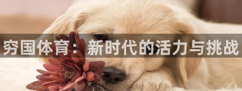 意昂4体育