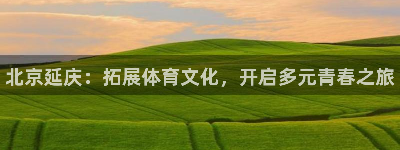 意昂4平台