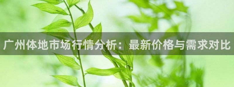 意昂4凯捷注册