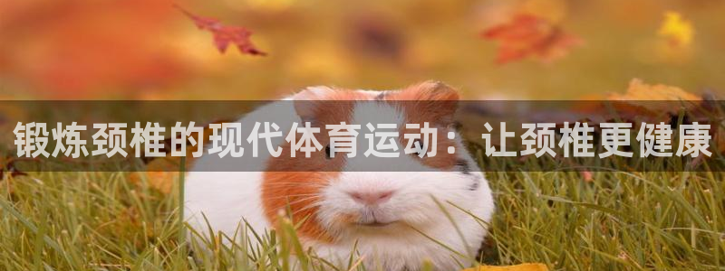 意昂45招商
