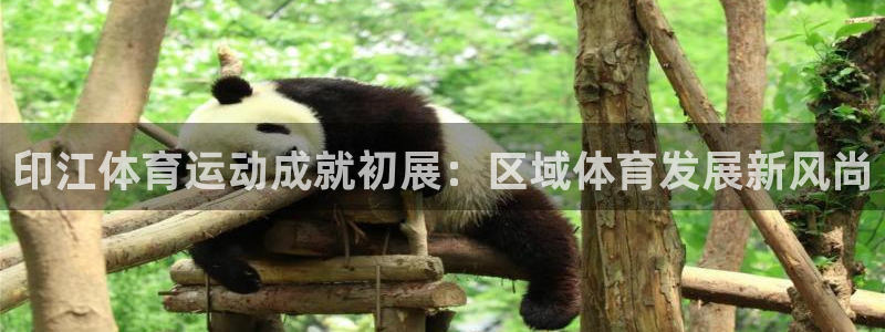 意昂4在线注册