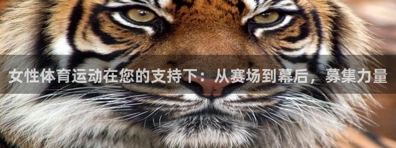 意昂4体育
