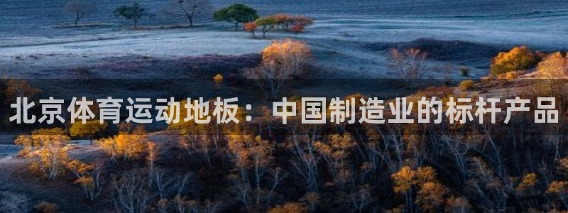 意昂45