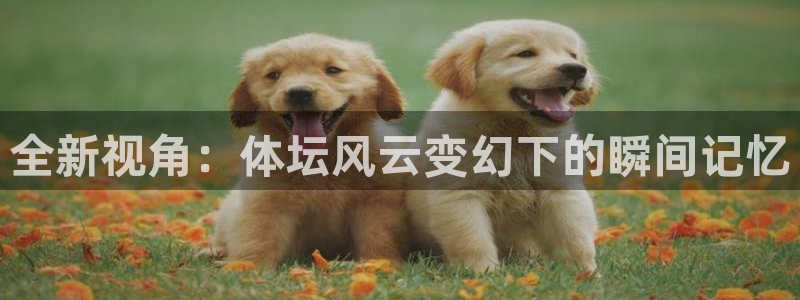 意昂43