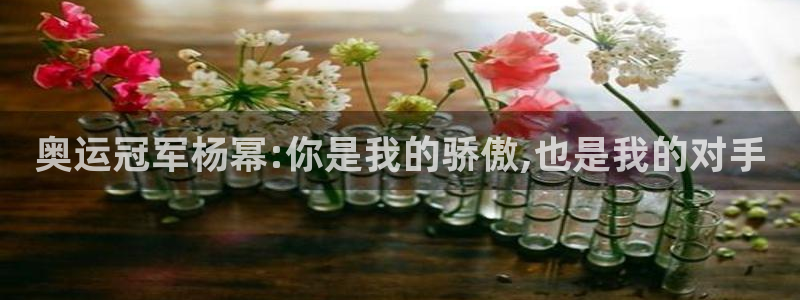 意昂43平台登录注册